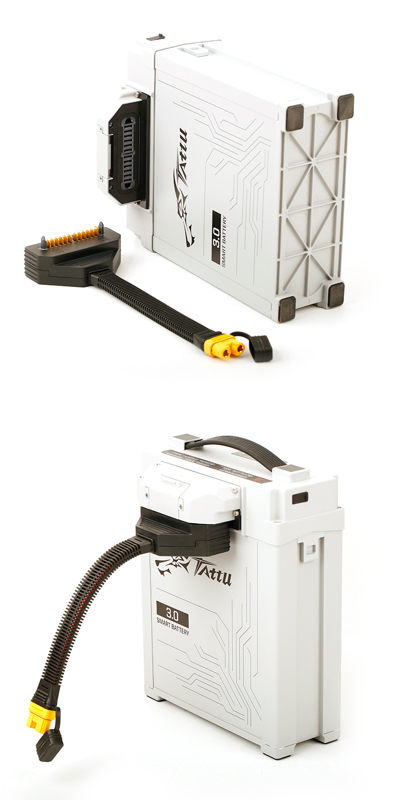 �˾���ũ TATTU-CHC [TATTU] Smart Battery Charging / Gender Cable 1