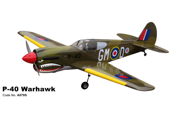 [�˾���ũ]  WORLD MODEL P-40 Warhawk (1450mm) 1