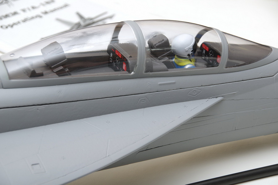 [�˾���ũ] FMS100P [FMS] 875mm F/A-18F ���� ȣ�� 70mm EDF Jet PNP (����, ���ӱ�, ����, ��Ʈ���� ����) 37