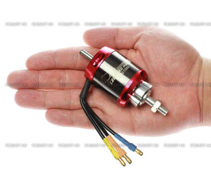 ¾Ë¾¾¹ðÅ© Leopard LC3542-10T 560KV Outrunner Brushless Motor (Prop 15-16) 5