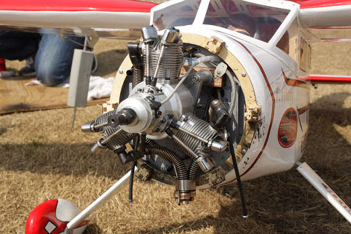 [�˾���ũ] SAEG0060R3 [Saito] ���ָ� ���� FG-60R3 ���÷�, �̱״ϼ� ���� 1