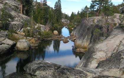 [�˾���ũ] SPMXSE1080 [Axial] FIRMA Crawler 120A Sensored BL Smart ESC 5