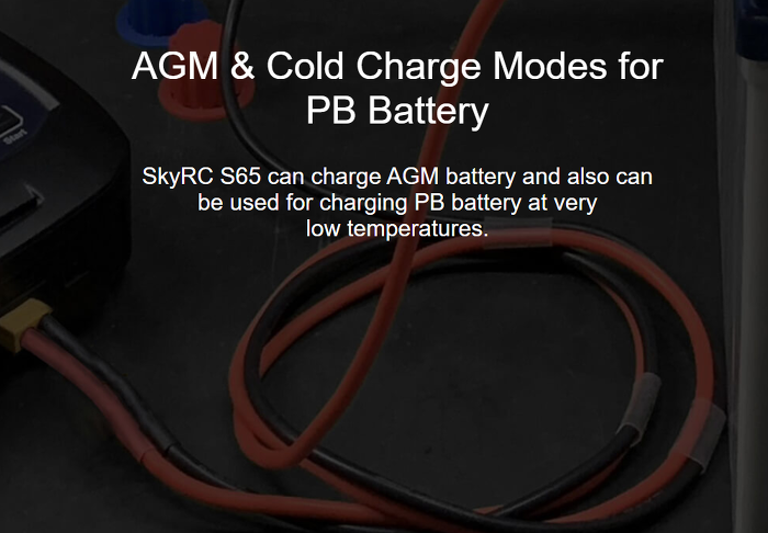 �˾���ũ  [SKYRC] S65 ������ ������ 65W 6A AC �Է� - KC���� 13