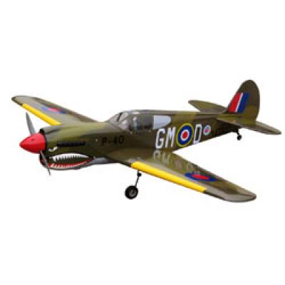 [�˾���ũ]  WORLD MODEL P-40 Warhawk (1450mm)