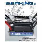 [HobbyWing] ŷ V3 60A Ʈ 귯 ӱ