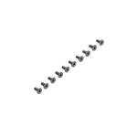 Flat Head Screws M2.5x5mm (10)