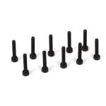 M2x12mm Cap Head Screw (10)