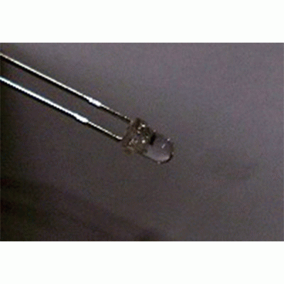 [�˾���ũ] YK-544SBC 5���� ����Ÿ�� ������ ���ֵ� LED - BLUE (�Ķ�) 1��