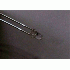 5���� ����Ÿ�� ������ ���ֵ� LED - BLUE (�Ķ�) 1��