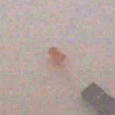 [�˾���ũ] YK-544DRC 5���� ����Ÿ�� ������ ���ֵ� LED - RED (����) 1��