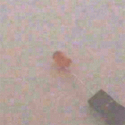 5���� ����Ÿ�� ������ ���ֵ� LED - RED (����) 1��