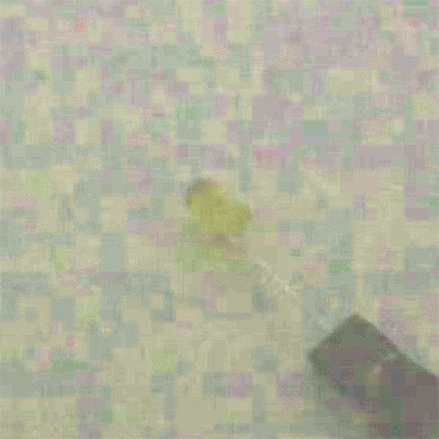 [�˾���ũ] YK-544DYC 5���� ����Ÿ�� ������ ���ֵ� LED - Yellow (���) 1��