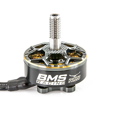 �˾���ũ  [T-Motor] BMS Racing Raptor Series 2306.5 2000kv ���̵̽�� �귯������ ����
