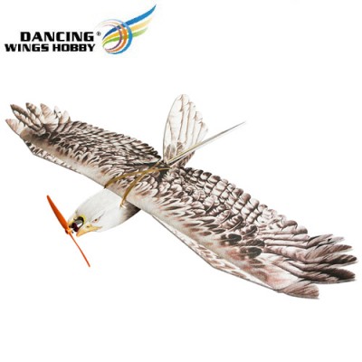 [�˾���ũ]  [DWHOBBY] 1430mm EPP Eagle Airplane KIT