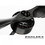 [DUALSKY] XM9025HD-6 (HV/120KV/V3) �귯������ ����