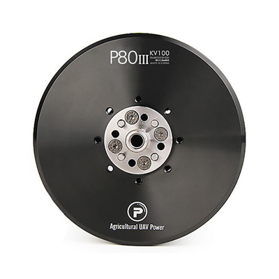 [�˾���ũ]  [T-MOTOR] Ƽ���� P80 III 100KV �귯������ ����