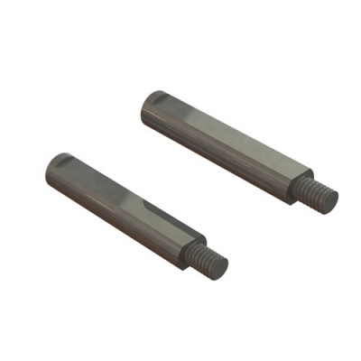 [�˾���ũ] ARA320529 [ARRMA] CENTER BRACE PIN (2pcs)