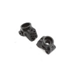 [TLR Racing] GenII Rear Hub, Composite Body (2): All 22