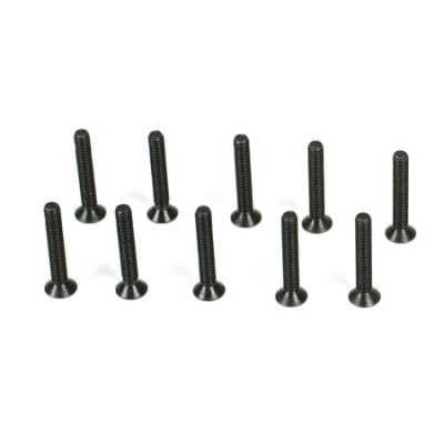 [˾ũ] TLR5959 [TLR Racing] Flathead Screws, M2.5 x 16mm (10)
