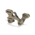 [TLR Racing] Rear Camber Block, Vertical Ball Stud: 22-4
