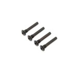 [TEAM LOSI] Hinge Pin Screw, Outer (4): Super Baja Rey