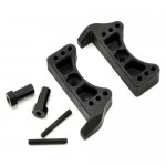 [TLR Racing] Team Losi Racing Battery Stop Set w/Posts (2)
