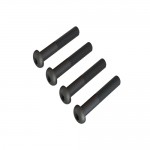 [ARRMA] AR721325 Button Head Screw 3x25mm (10)