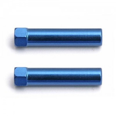 [˾ũ] AA9706 [TEAM ASSOCIATED] AA9706 Battery Post