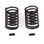 [TEAM ASSOCIATED] AA31713 FT Springs, black, 12.5 lb (in kit)