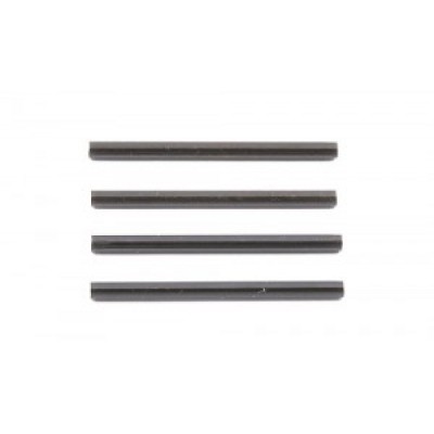 [˾ũ] AA31024 [TEAM ASSOCIATED] AA31024 Inner Hinge Pin