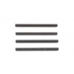 [TEAM ASSOCIATED] AA31024 Inner Hinge Pin