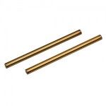 [TEAM ASSOCIATED] AA91128 FT TiN Rear Inner Hinge Pin