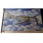 [Hasegawa] BH00375 1/72 FW109D-9