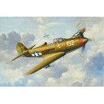[Revell Gmbh] BV4935 1/144 Micro Wings P-39Q Aircobra