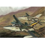 [Dragon] BD4614 1/144 RAF Tornado F.3 No.111 Squadron