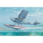 [RODEN] BG-RD1070629 1/32 L-19/O-1 Bird Dog Floatplane