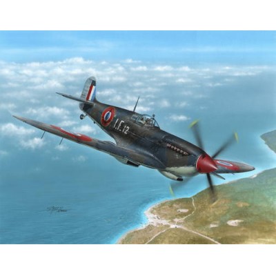 [˾ũ] BSH48138 [Special Hobby] BSH48138 1/48 Supermarine Seafire Mk.III Aeronava23.5le & Irish Air Corps
