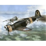 [Special Hobby] BSH32044 1/32 Fiat G.50 II serie