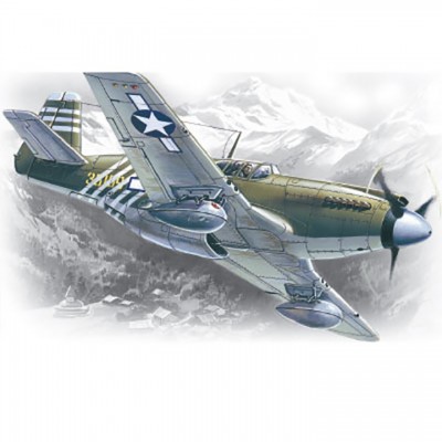 [˾ũ] BICM48161 [ICM] BICM48161 1/48 P-51A Mustang U.S. Air Force