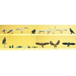 [PREISER] FSP10169 1/87 Birds Assorted ( )