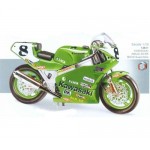 [GUILOY] DG13611 1/10 KAWASAKI NINJA ZX-RR / World Superbike