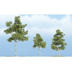 [Woodland scenics] JWTR1605 Paper Birch - 2 3/4 1 1/2 & 2 1/4 ۳