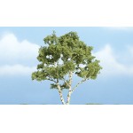 [Woodland scenics] JWTR1601 Birch - 3 7/8 