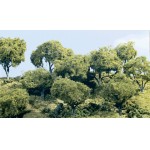 [Woodland scenics] JWTK25 Hardwood Trees - 5 -6  (3/kit)  3׷ 