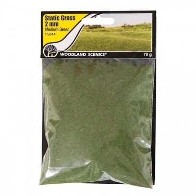 [˾ũ] JWFS614 [Woodland scenics] JWFS614 Static Grass Medium Green 2mm-Ǯ  Ǯ -2mm-̵ ׸