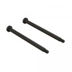[ARRMA] EXB HD Threaded Hinge Pin (2)