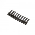 [TEAM LOSI] Wheel Hex Screw Pin (10): LMT