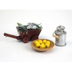 [Artesania-Latina] BA11228 1/12 Decoration for garden( ǰ)