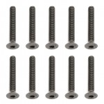 [TEAM ASSOCIATED] AA89233 Screws, M3x24mm FHCS