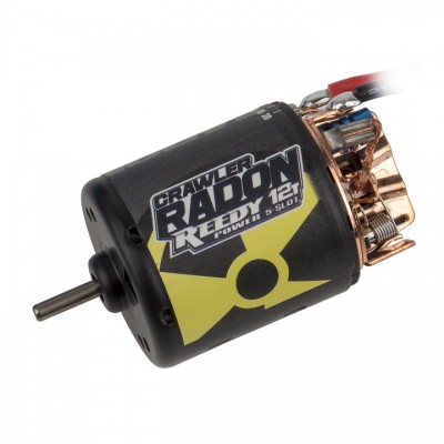 [˾ũ] AAK27431 [TEAM ASSOCIATED] AAK27431 Reedy Radon 2 Crawler 12T 5-Slot